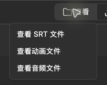 查看菜单中的 SRT、动画与音频文件入口 #w420
